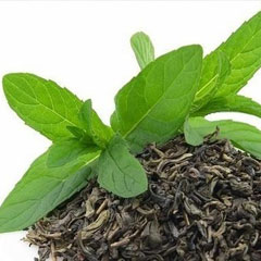 Eucalyptus Oil