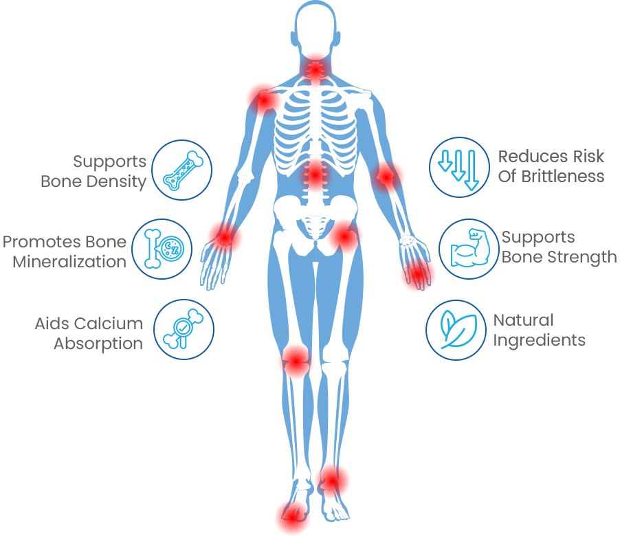 Bonexcin Benefits